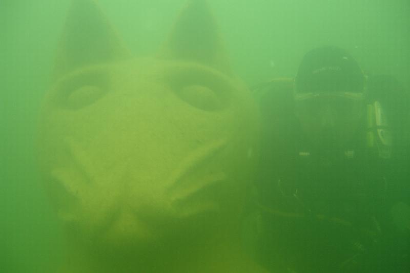 07 D 005.JPG